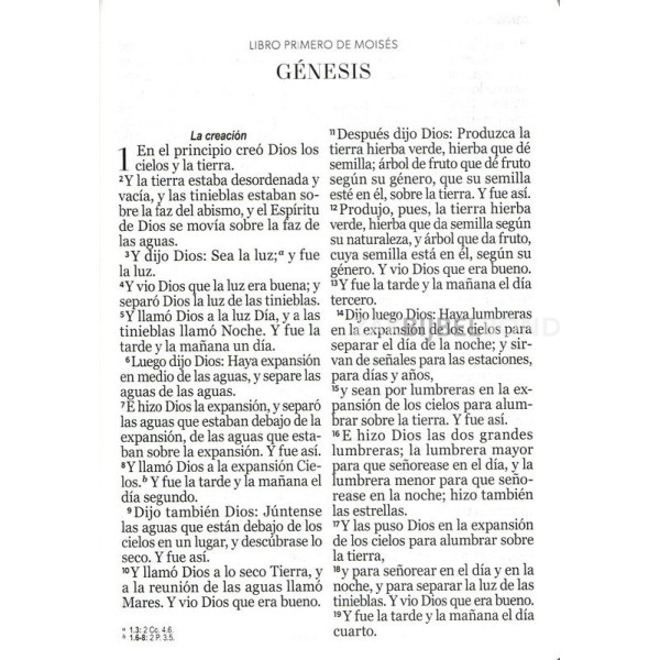 Spanish Bible RVR 60 - Letra Súper Gigante - purple