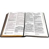 Spanish Bible RVR 60 - Letra Súper Gigante