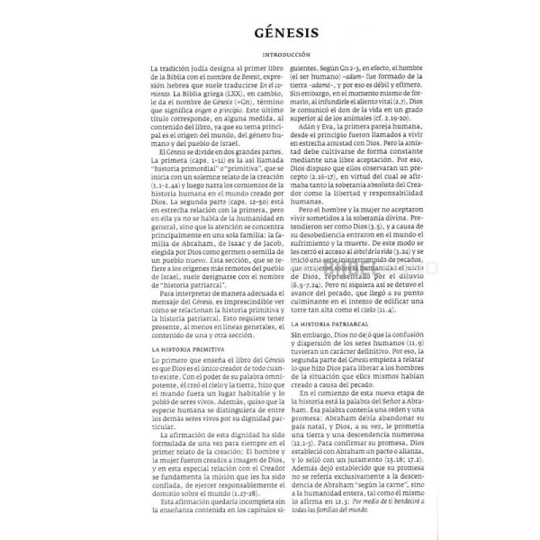 Spanish Bible in Dios Habla Hoy translation dark green