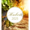 Macedonische Ansichtkaartenkalender 2025