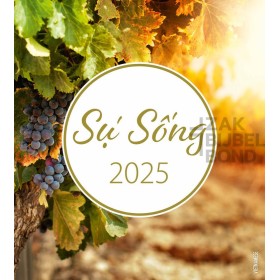 Vietnamese Ansichtkaartenkalender 2025