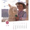 Chinese postcard calendar 2025