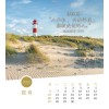 Chinese postcard calendar 2025