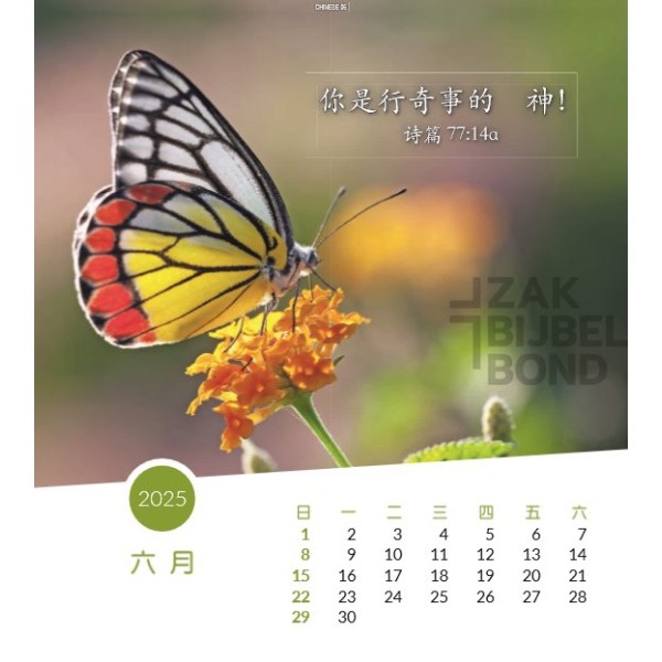 Chinese postcard calendar 2025