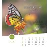 Chinese postcard calendar 2025