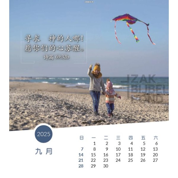 Chinese postcard calendar 2025