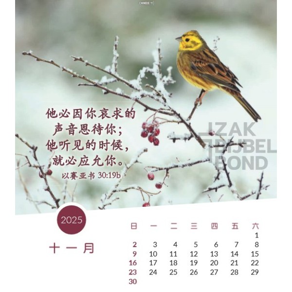Chinese postcard calendar 2025