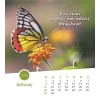 Greek postcard calendar 2025