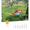 Japanese postcard calendar 2025