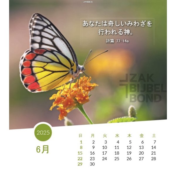 Japanese postcard calendar 2025