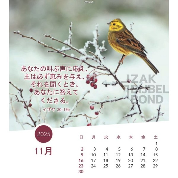 Japanse Ansichtkaartenkalender 2025