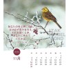 Japanese postcard calendar 2025
