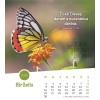 Lithuanian postcard calendar 2025