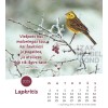 Macedonian postcard calendar 2025