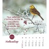 Serbian postcard calendar 2025