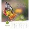 Thai postcard calendar 2025