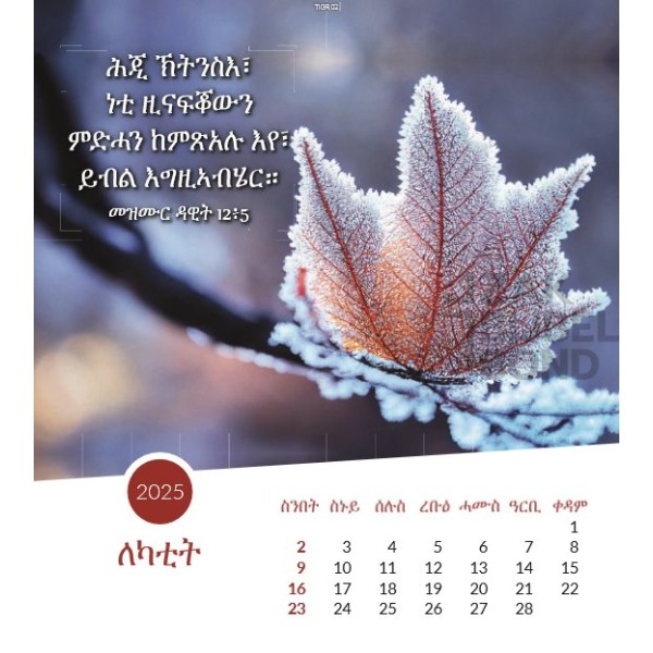 Tigrinische Ansichtkaartenkalender 2025