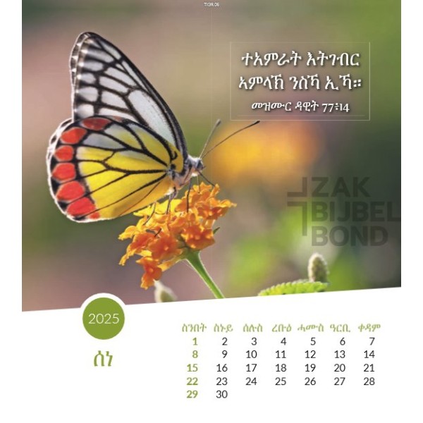 Tigrinya postcard calendar 2025