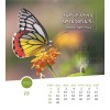 Tigrinya postcard calendar 2025
