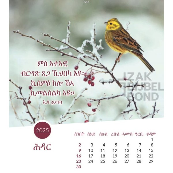 Tigrinya postcard calendar 2025