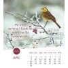 Tigrinya postcard calendar 2025