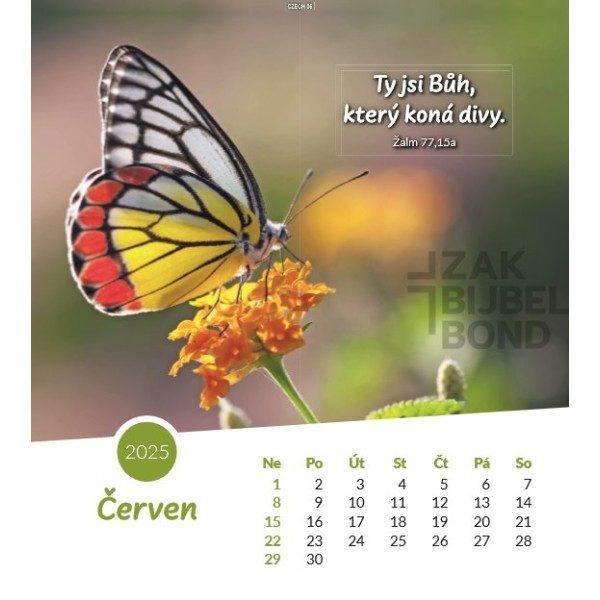 Czech postcard calendar 2025