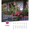 Czech postcard calendar 2025