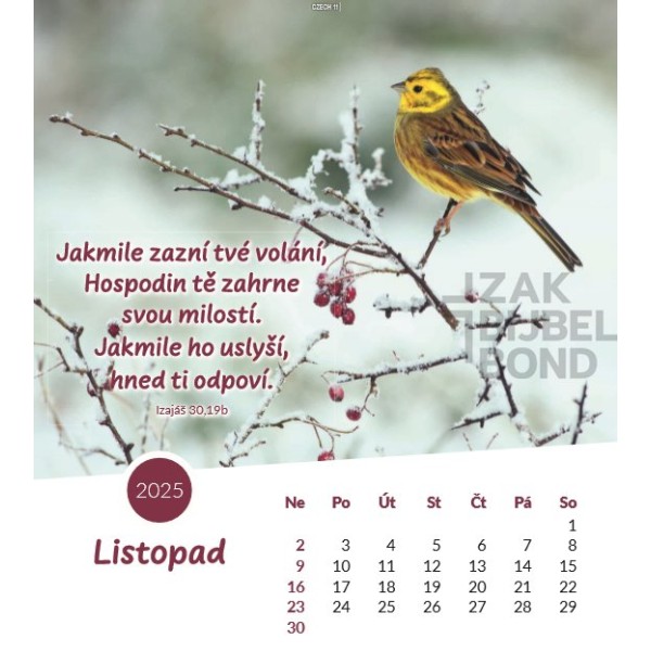 Czech postcard calendar 2025