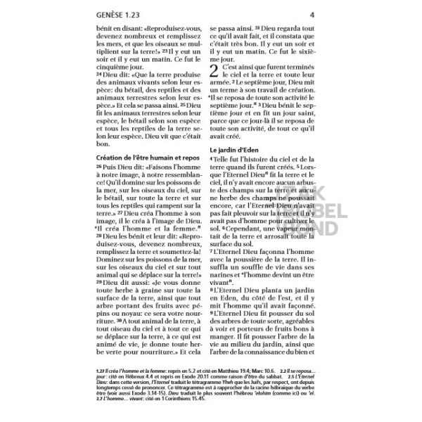 French Bible Louis Segond 21 Premium compact Deluxe