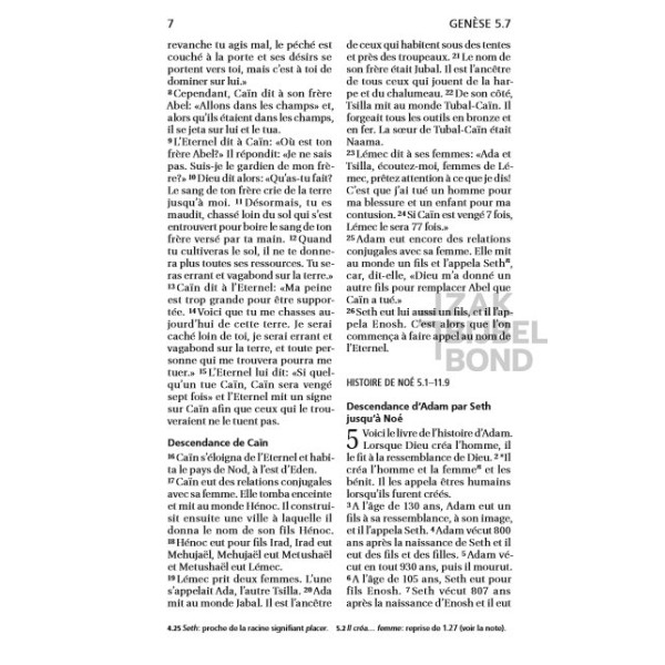 French Bible Louis Segond 21 Premium compact Deluxe