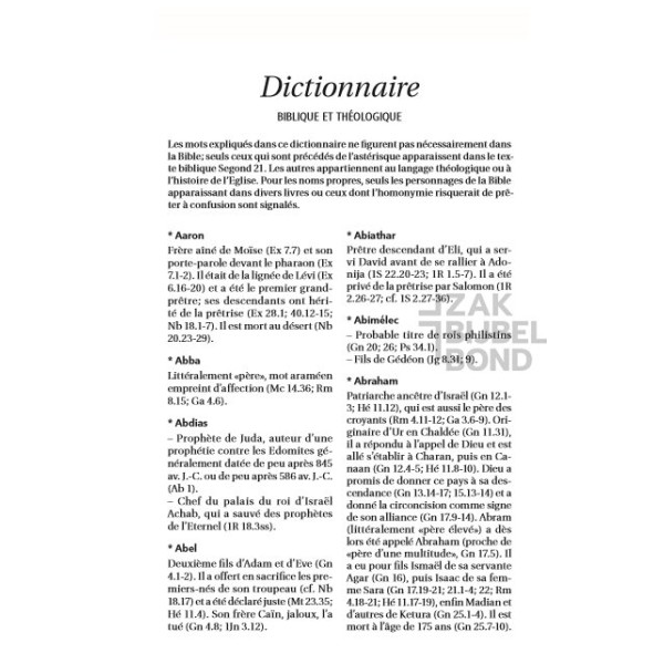 French Bible Louis Segond 21 Premium compact Deluxe