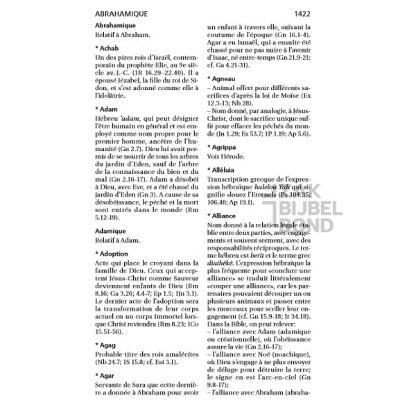 French Bible Louis Segond 21 Premium compact Deluxe