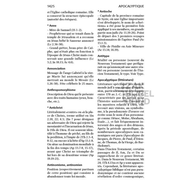 French Bible Louis Segond 21 Premium compact Deluxe