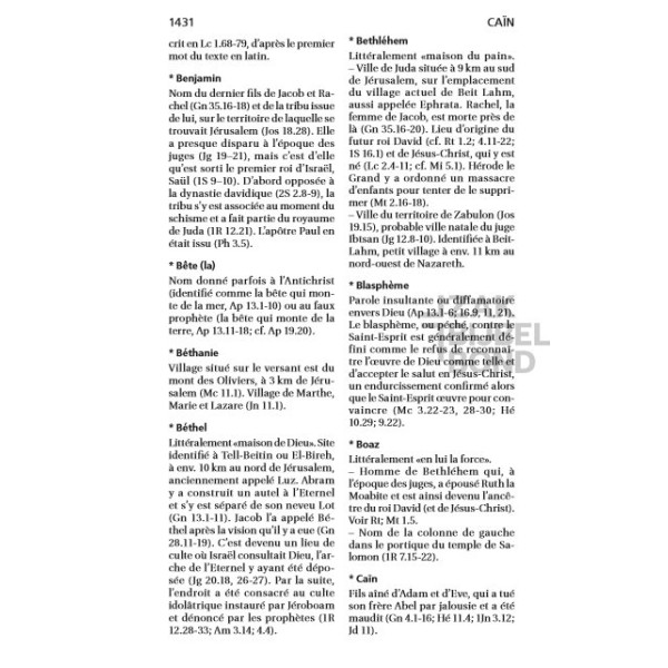 French Bible Louis Segond 21 Premium compact Deluxe