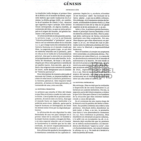 Spanish Bible Dios Habla Hoy flexible charcoal