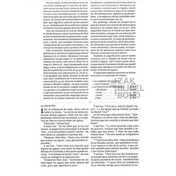 Spanish Bible Dios Habla Hoy flexible charcoal