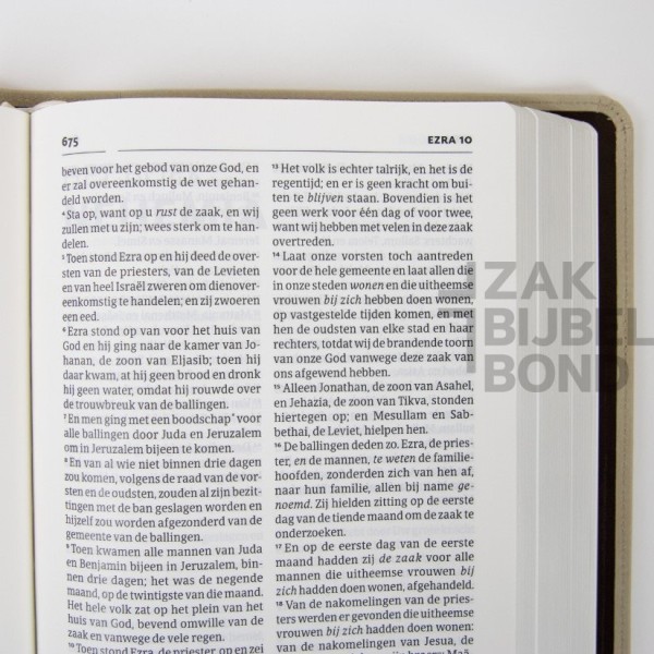 Dutch Bible HSV - EDGE LINED EDITION CHAMPAGNE