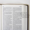 Dutch Bible HSV - EDGE LINED EDITION CHAMPAGNE