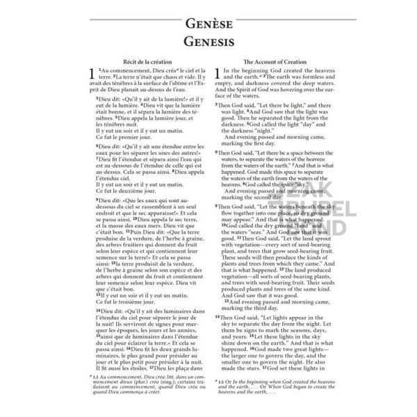 French-English Bible LS21/NLT