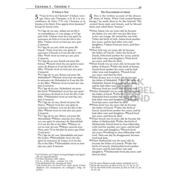 Franse-Engelse ParallelBijbel - LS21/NLT