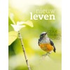 Dutch Easter booklet the victory