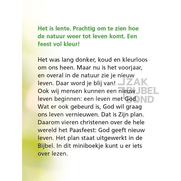 Evangelisatieboekje Pasen - Het grote plan