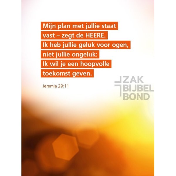 Evangelisatieboekje Pasen - Het grote plan