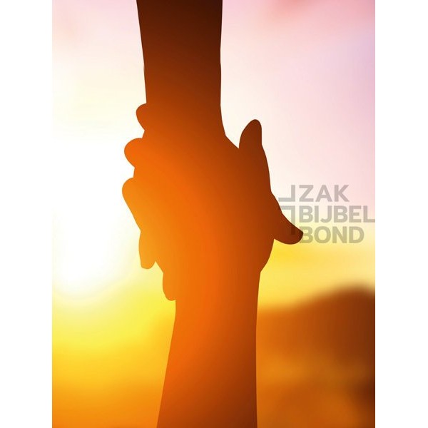 Evangelisatieboekje Pasen - Het grote plan