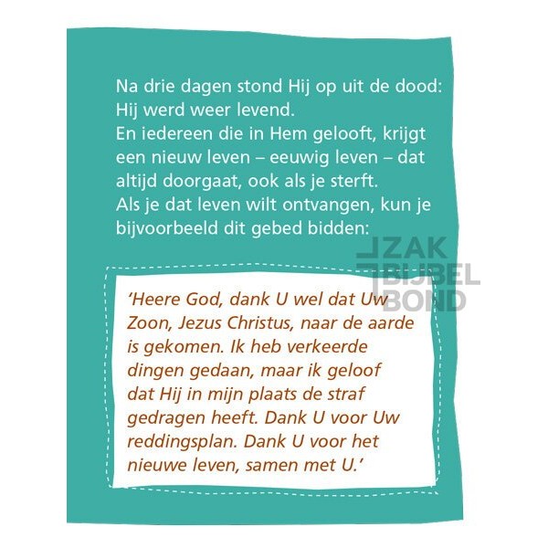 Evangelisatieboekje Pasen - Het grote plan