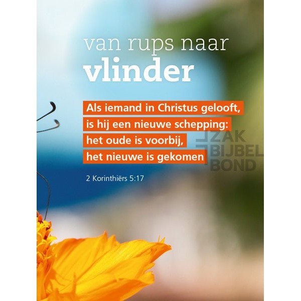 Evangelisatieboekje Pasen - Het grote plan