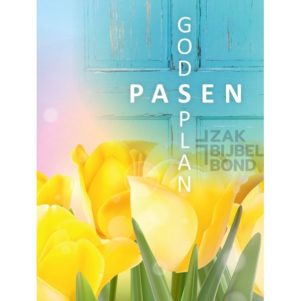 Evangelisatieboekje Pasen - Het grote plan