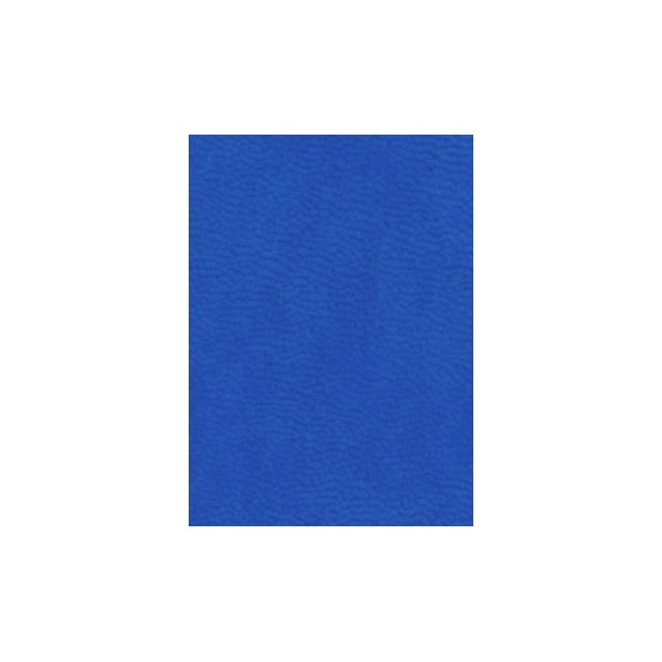 Dutch BasisBijbel Vivella sky blue