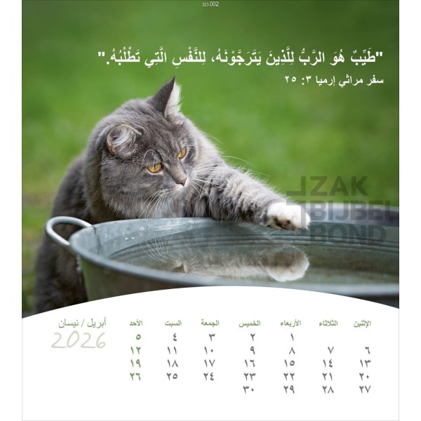 Arabic postcard calendar 2026 - Life for you