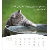 Arabische ansichtkaartenkalender 2026 - Leven voor jou